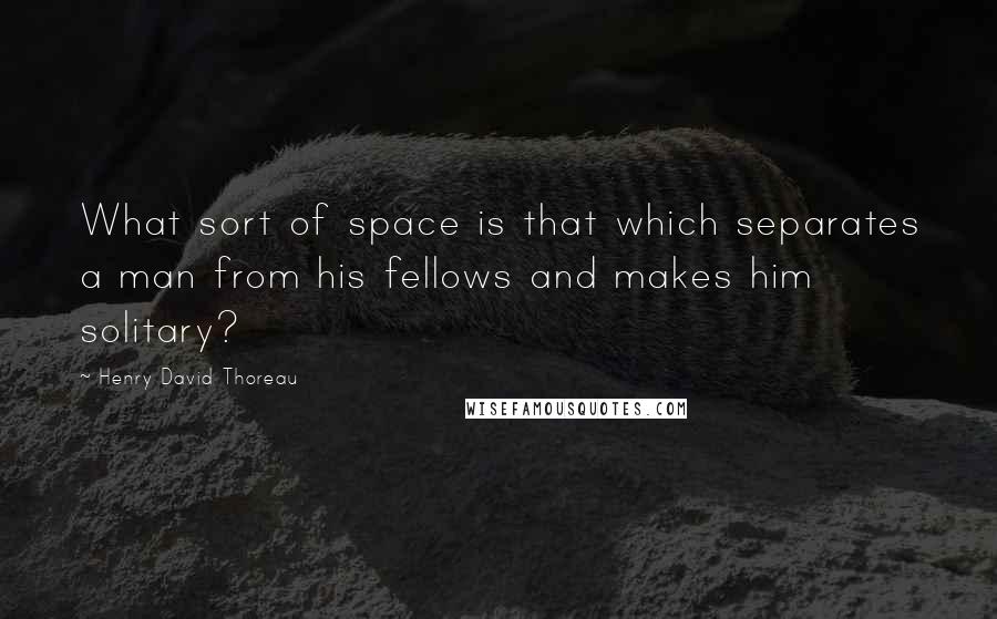 Henry David Thoreau Quotes: What sort of space is that which separates a man from his fellows and makes him solitary?