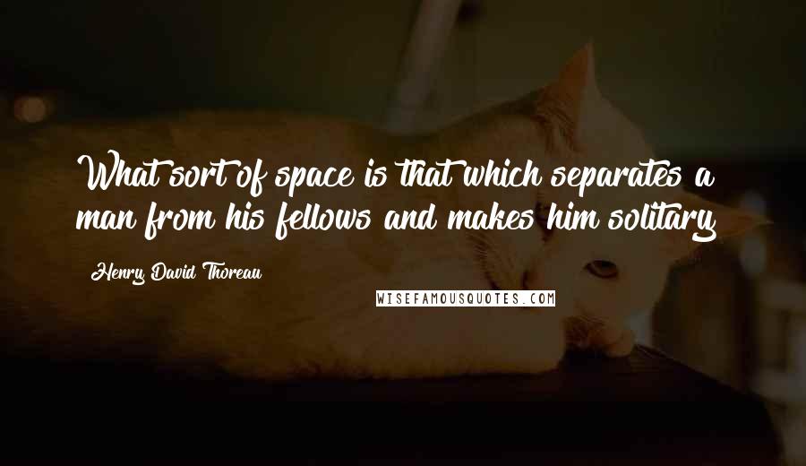 Henry David Thoreau Quotes: What sort of space is that which separates a man from his fellows and makes him solitary?