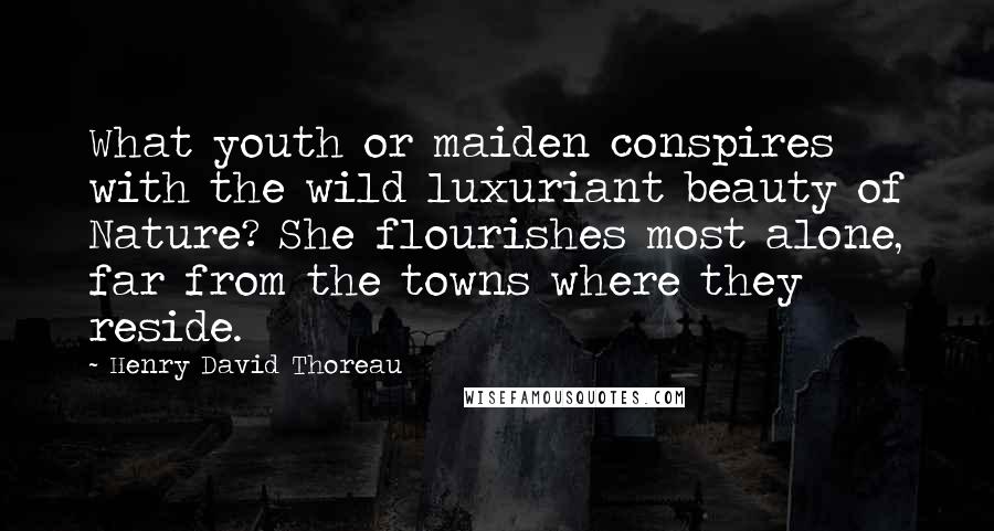Henry David Thoreau Quotes: What youth or maiden conspires with the wild luxuriant beauty of Nature? She flourishes most alone, far from the towns where they reside.