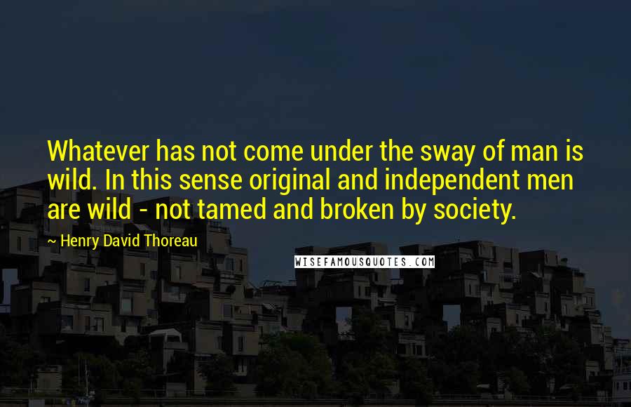 Henry David Thoreau Quotes: Whatever has not come under the sway of man is wild. In this sense original and independent men are wild - not tamed and broken by society.