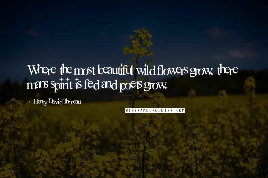 Henry David Thoreau Quotes: Where the most beautiful wild flowers grow, there mans spirit is fed and poets grow.