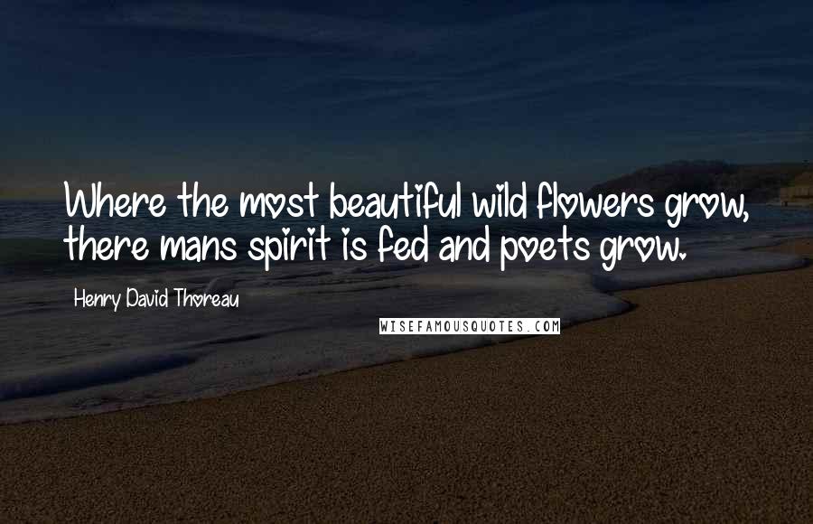 Henry David Thoreau Quotes: Where the most beautiful wild flowers grow, there mans spirit is fed and poets grow.
