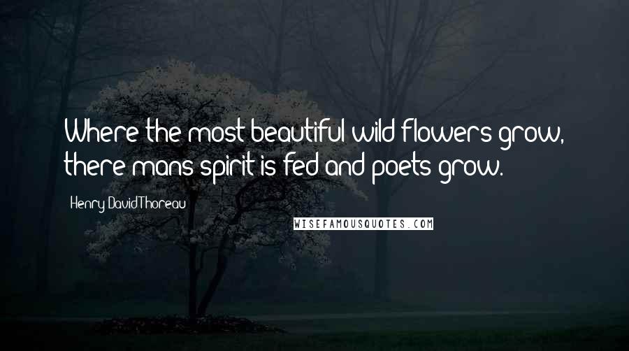 Henry David Thoreau Quotes: Where the most beautiful wild flowers grow, there mans spirit is fed and poets grow.