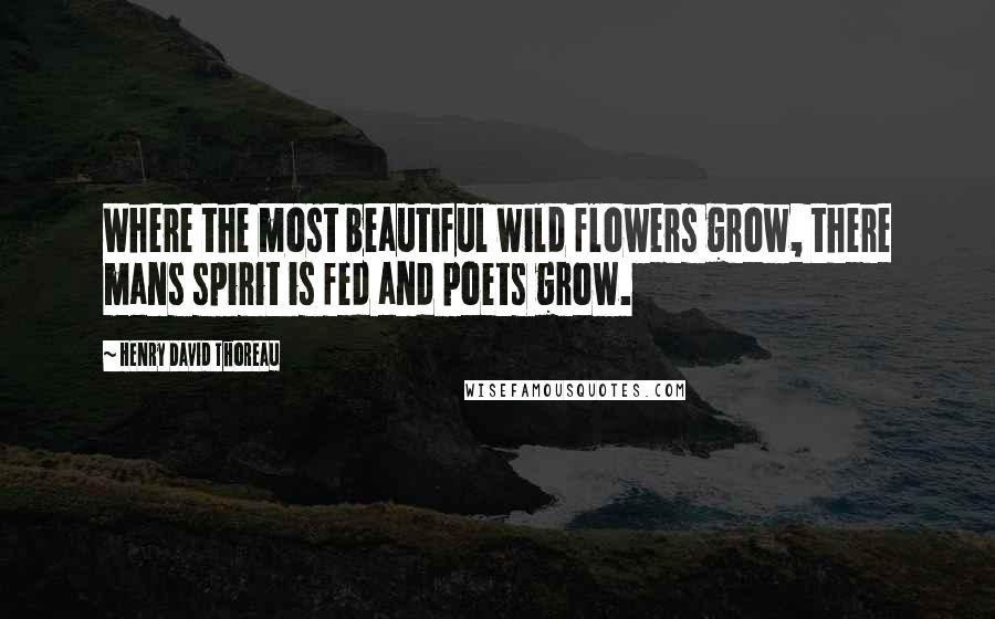 Henry David Thoreau Quotes: Where the most beautiful wild flowers grow, there mans spirit is fed and poets grow.