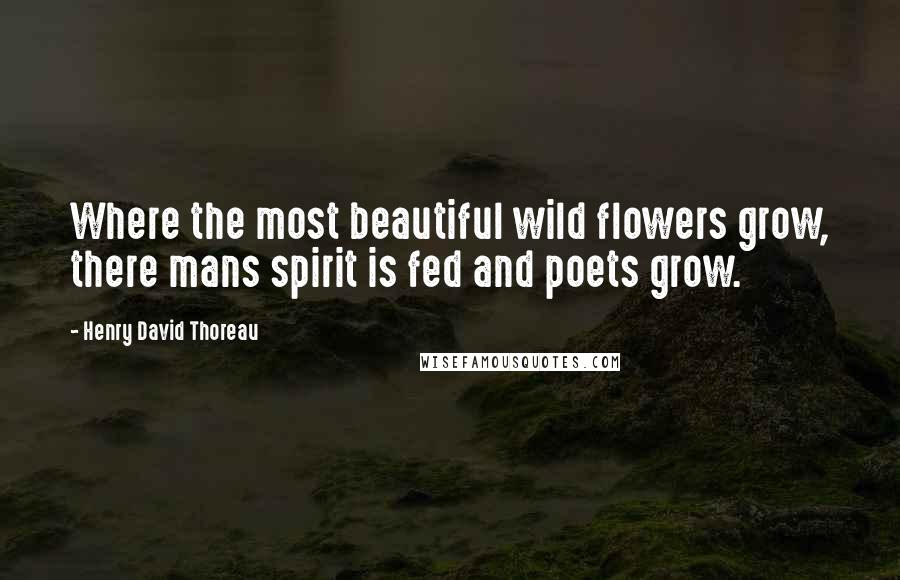 Henry David Thoreau Quotes: Where the most beautiful wild flowers grow, there mans spirit is fed and poets grow.