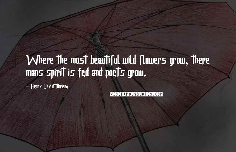 Henry David Thoreau Quotes: Where the most beautiful wild flowers grow, there mans spirit is fed and poets grow.