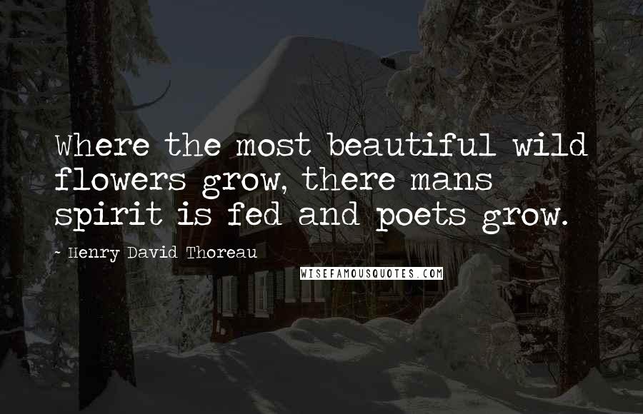 Henry David Thoreau Quotes: Where the most beautiful wild flowers grow, there mans spirit is fed and poets grow.