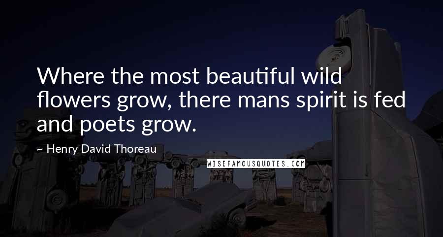 Henry David Thoreau Quotes: Where the most beautiful wild flowers grow, there mans spirit is fed and poets grow.