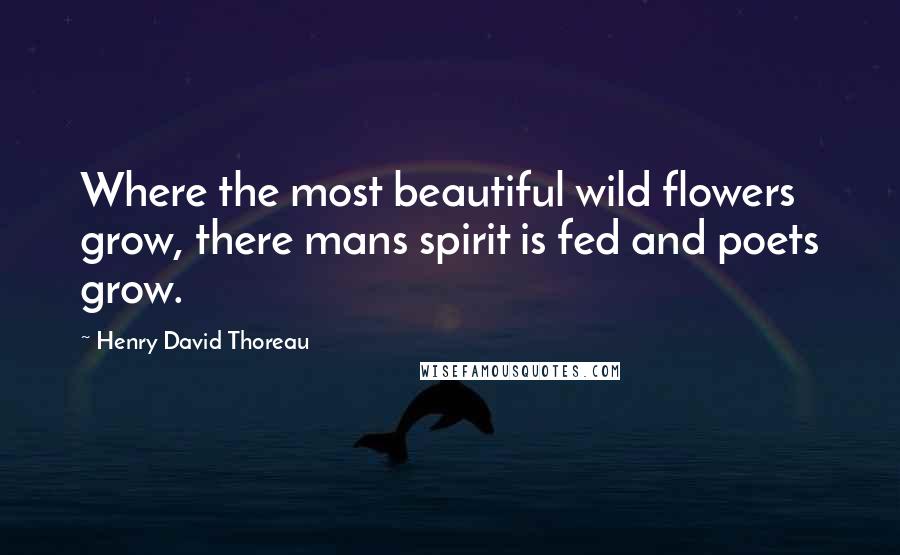 Henry David Thoreau Quotes: Where the most beautiful wild flowers grow, there mans spirit is fed and poets grow.