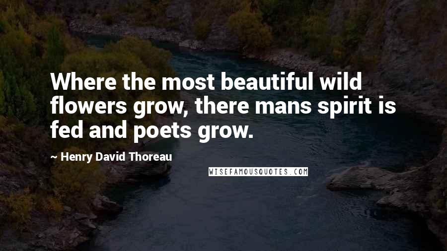 Henry David Thoreau Quotes: Where the most beautiful wild flowers grow, there mans spirit is fed and poets grow.