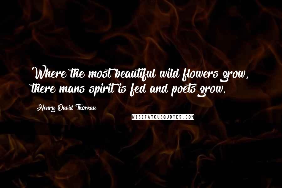 Henry David Thoreau Quotes: Where the most beautiful wild flowers grow, there mans spirit is fed and poets grow.