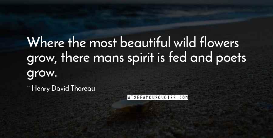 Henry David Thoreau Quotes: Where the most beautiful wild flowers grow, there mans spirit is fed and poets grow.