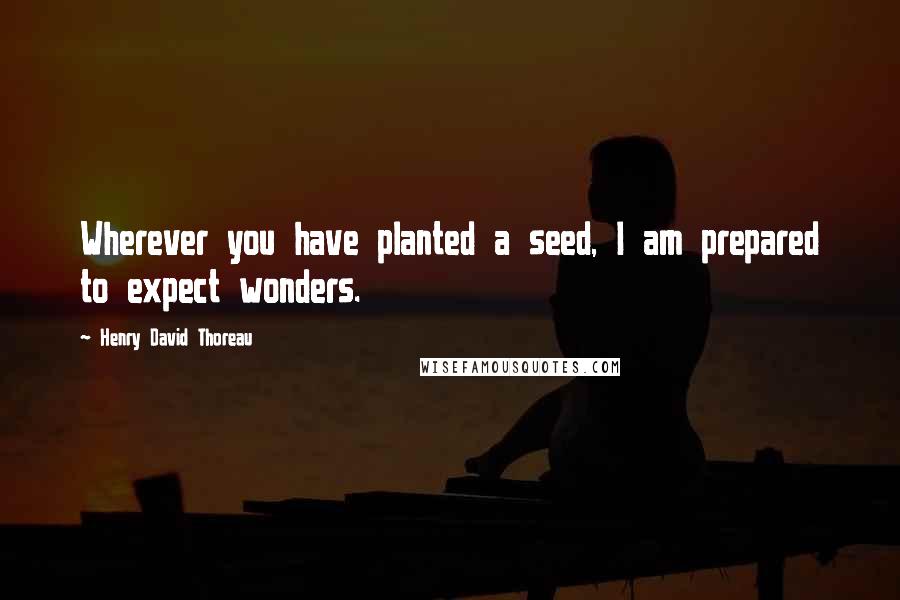 Henry David Thoreau Quotes: Wherever you have planted a seed, I am prepared to expect wonders.