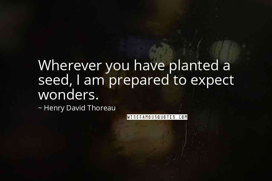 Henry David Thoreau Quotes: Wherever you have planted a seed, I am prepared to expect wonders.