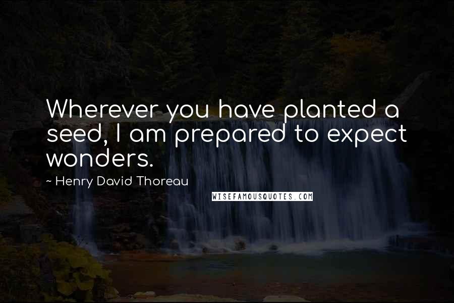 Henry David Thoreau Quotes: Wherever you have planted a seed, I am prepared to expect wonders.
