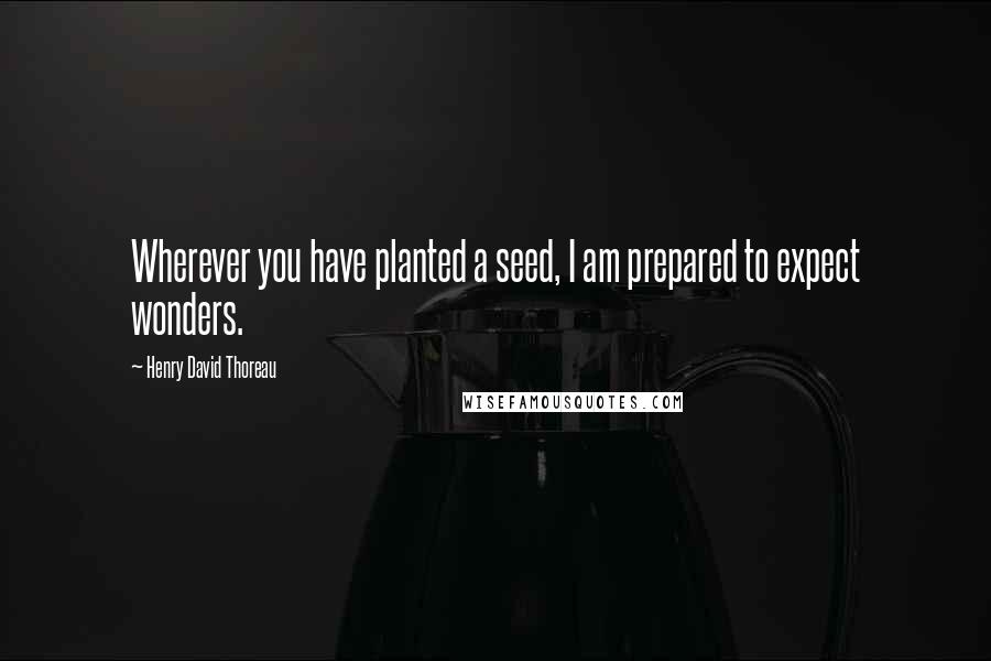 Henry David Thoreau Quotes: Wherever you have planted a seed, I am prepared to expect wonders.