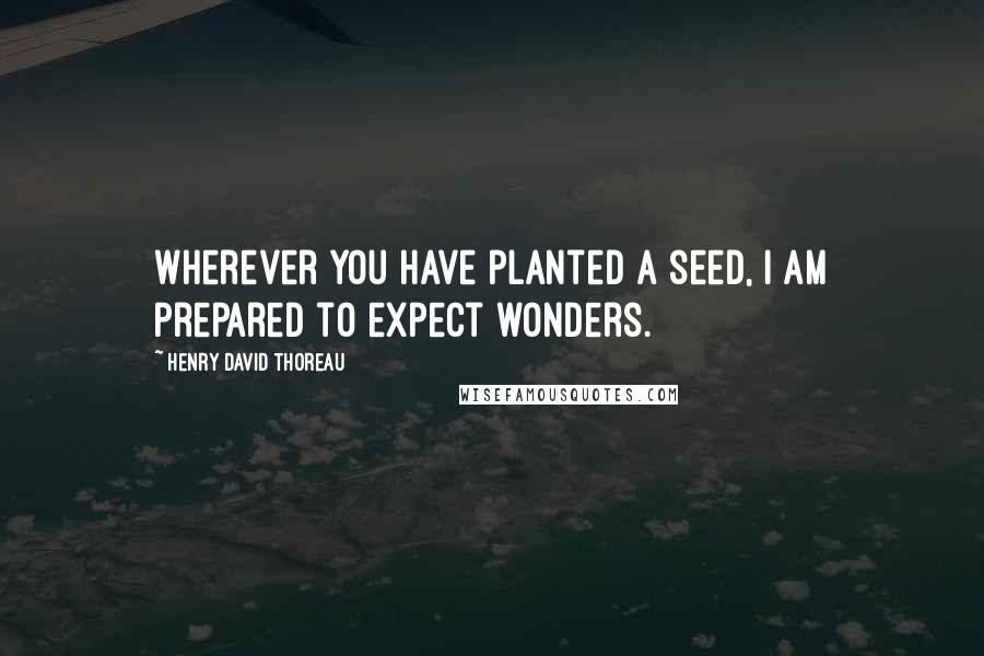 Henry David Thoreau Quotes: Wherever you have planted a seed, I am prepared to expect wonders.