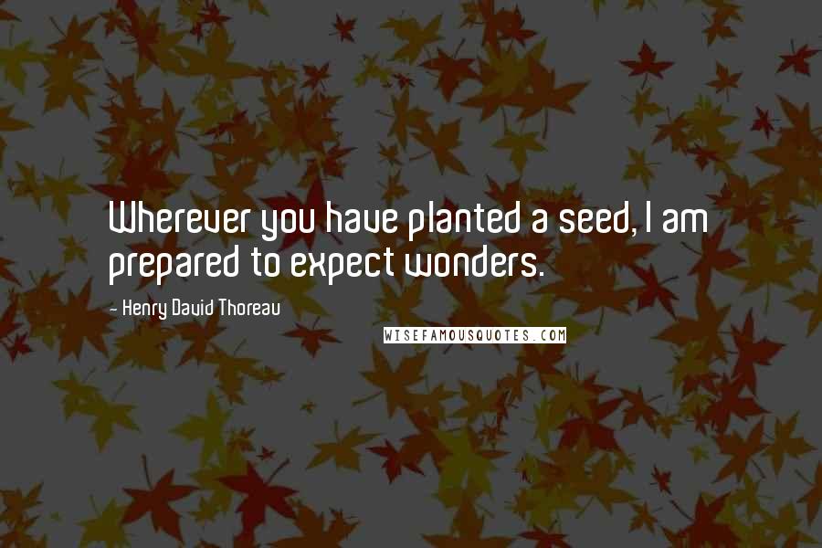 Henry David Thoreau Quotes: Wherever you have planted a seed, I am prepared to expect wonders.