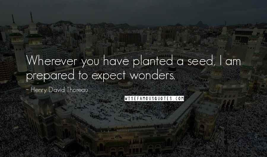 Henry David Thoreau Quotes: Wherever you have planted a seed, I am prepared to expect wonders.