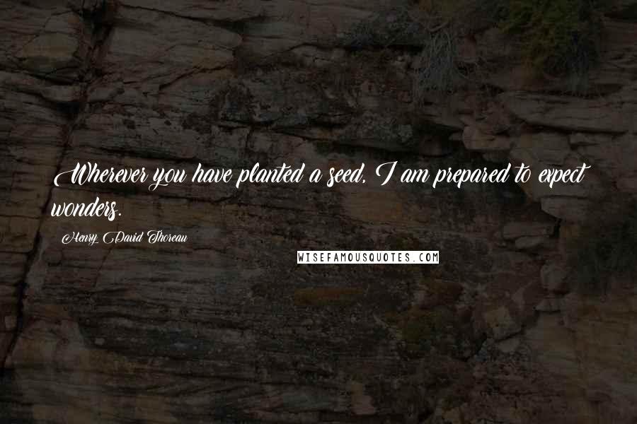 Henry David Thoreau Quotes: Wherever you have planted a seed, I am prepared to expect wonders.