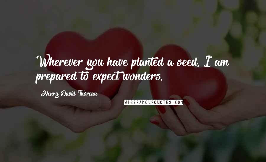 Henry David Thoreau Quotes: Wherever you have planted a seed, I am prepared to expect wonders.
