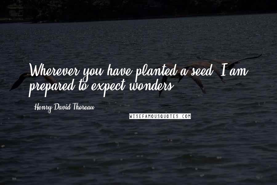 Henry David Thoreau Quotes: Wherever you have planted a seed, I am prepared to expect wonders.