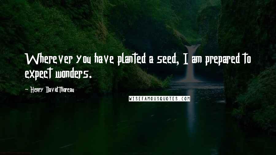 Henry David Thoreau Quotes: Wherever you have planted a seed, I am prepared to expect wonders.
