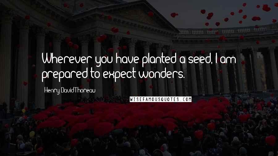 Henry David Thoreau Quotes: Wherever you have planted a seed, I am prepared to expect wonders.