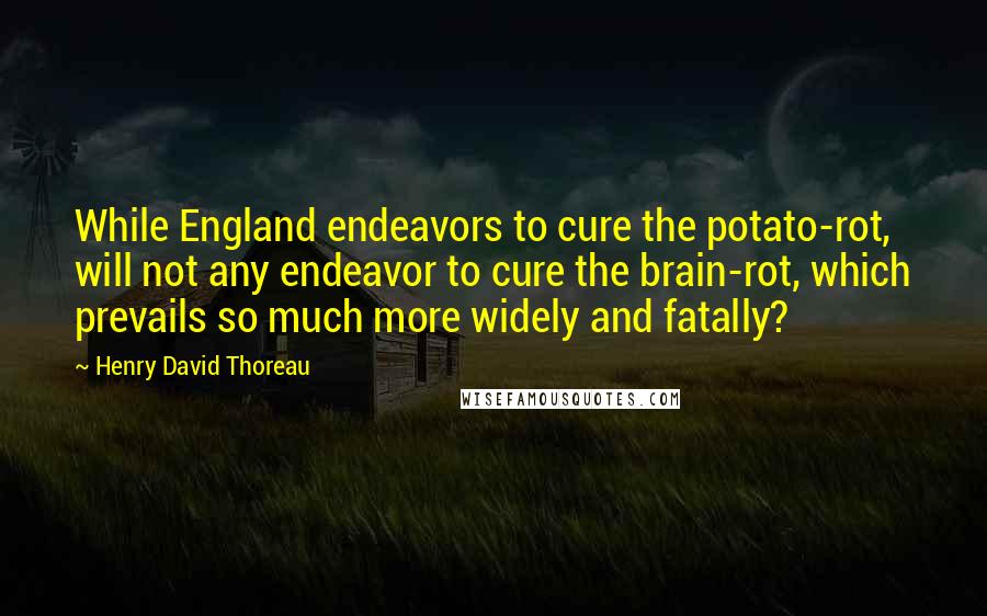 Henry David Thoreau Quotes: While England endeavors to cure the potato-rot, will not any endeavor to cure the brain-rot, which prevails so much more widely and fatally?
