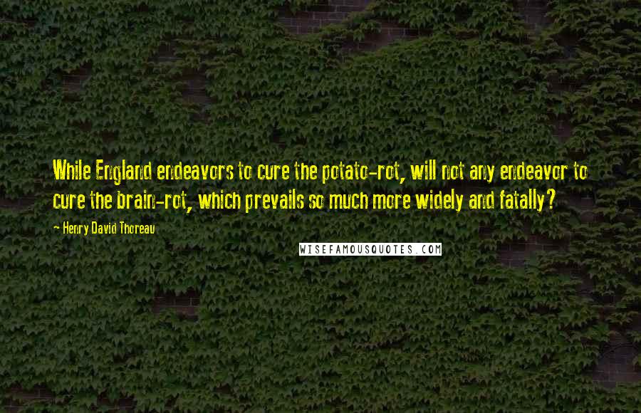 Henry David Thoreau Quotes: While England endeavors to cure the potato-rot, will not any endeavor to cure the brain-rot, which prevails so much more widely and fatally?