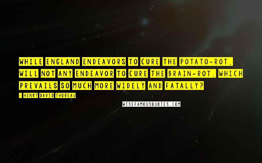 Henry David Thoreau Quotes: While England endeavors to cure the potato-rot, will not any endeavor to cure the brain-rot, which prevails so much more widely and fatally?