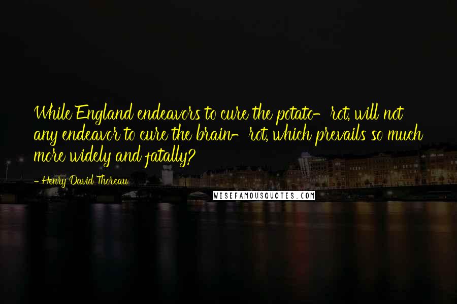 Henry David Thoreau Quotes: While England endeavors to cure the potato-rot, will not any endeavor to cure the brain-rot, which prevails so much more widely and fatally?