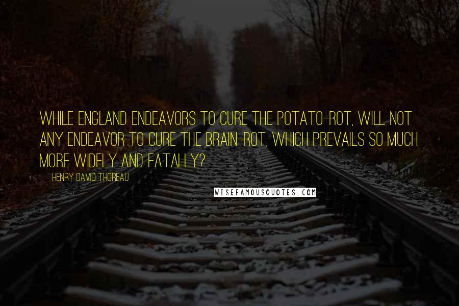 Henry David Thoreau Quotes: While England endeavors to cure the potato-rot, will not any endeavor to cure the brain-rot, which prevails so much more widely and fatally?