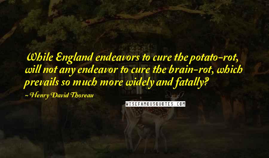 Henry David Thoreau Quotes: While England endeavors to cure the potato-rot, will not any endeavor to cure the brain-rot, which prevails so much more widely and fatally?