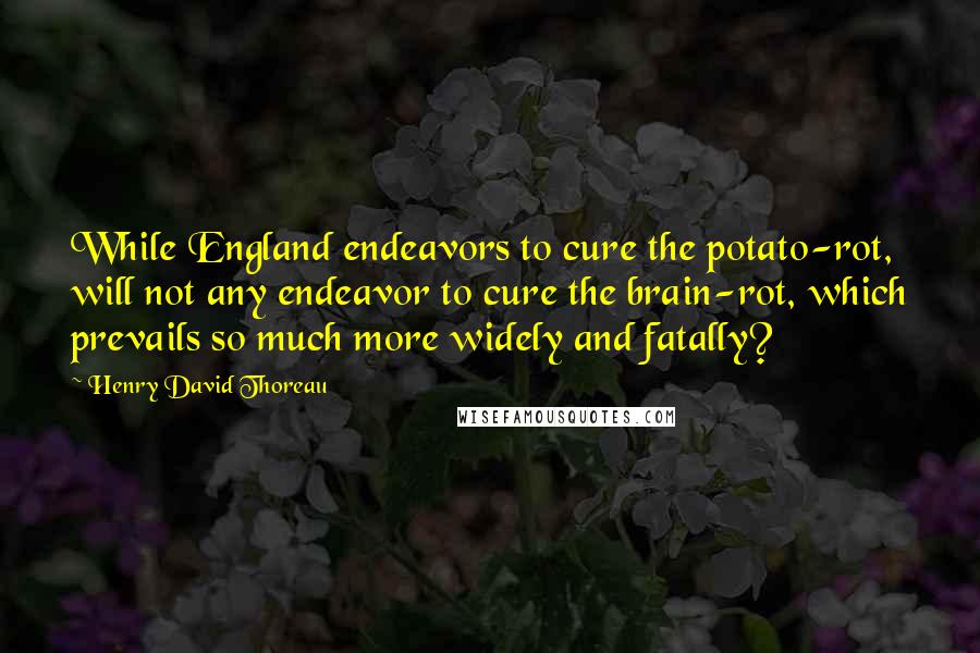 Henry David Thoreau Quotes: While England endeavors to cure the potato-rot, will not any endeavor to cure the brain-rot, which prevails so much more widely and fatally?