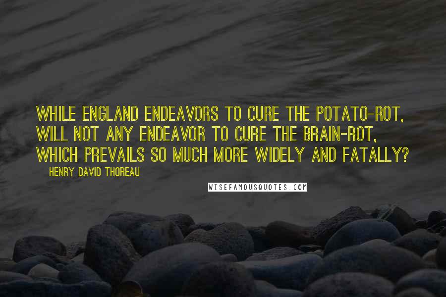 Henry David Thoreau Quotes: While England endeavors to cure the potato-rot, will not any endeavor to cure the brain-rot, which prevails so much more widely and fatally?