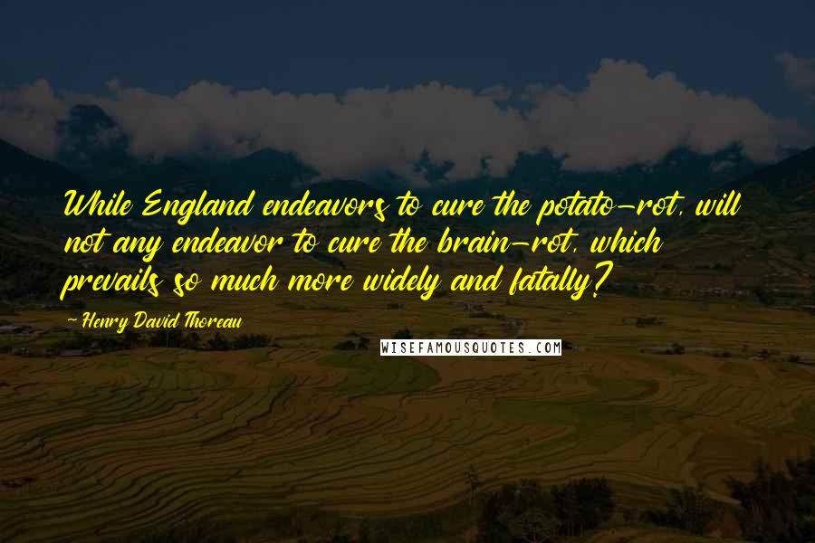 Henry David Thoreau Quotes: While England endeavors to cure the potato-rot, will not any endeavor to cure the brain-rot, which prevails so much more widely and fatally?