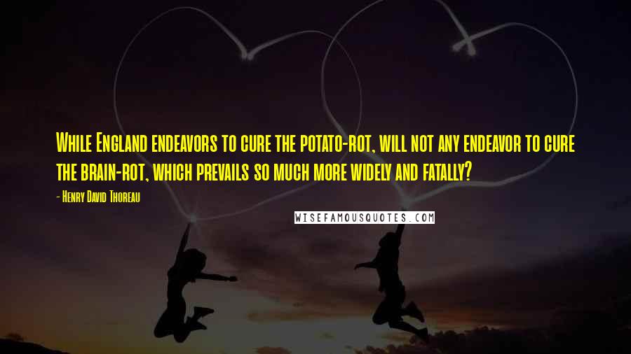 Henry David Thoreau Quotes: While England endeavors to cure the potato-rot, will not any endeavor to cure the brain-rot, which prevails so much more widely and fatally?