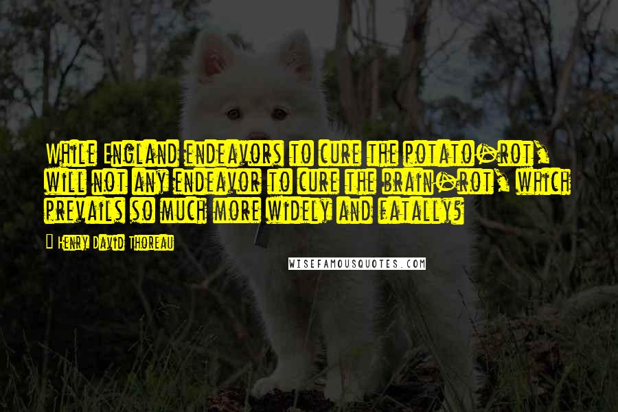 Henry David Thoreau Quotes: While England endeavors to cure the potato-rot, will not any endeavor to cure the brain-rot, which prevails so much more widely and fatally?