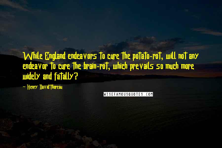 Henry David Thoreau Quotes: While England endeavors to cure the potato-rot, will not any endeavor to cure the brain-rot, which prevails so much more widely and fatally?