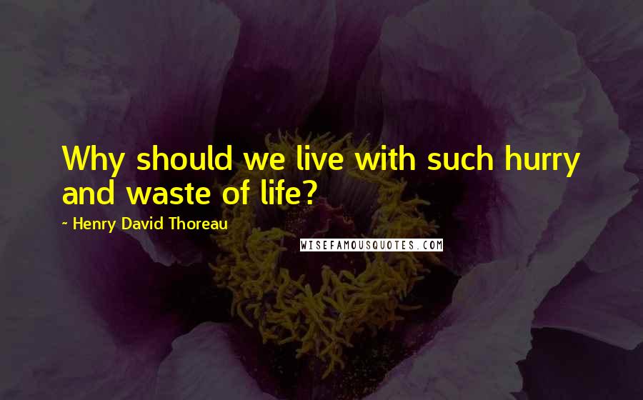 Henry David Thoreau Quotes: Why should we live with such hurry and waste of life?