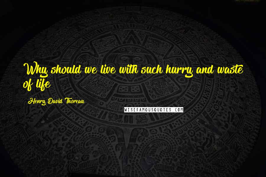 Henry David Thoreau Quotes: Why should we live with such hurry and waste of life?