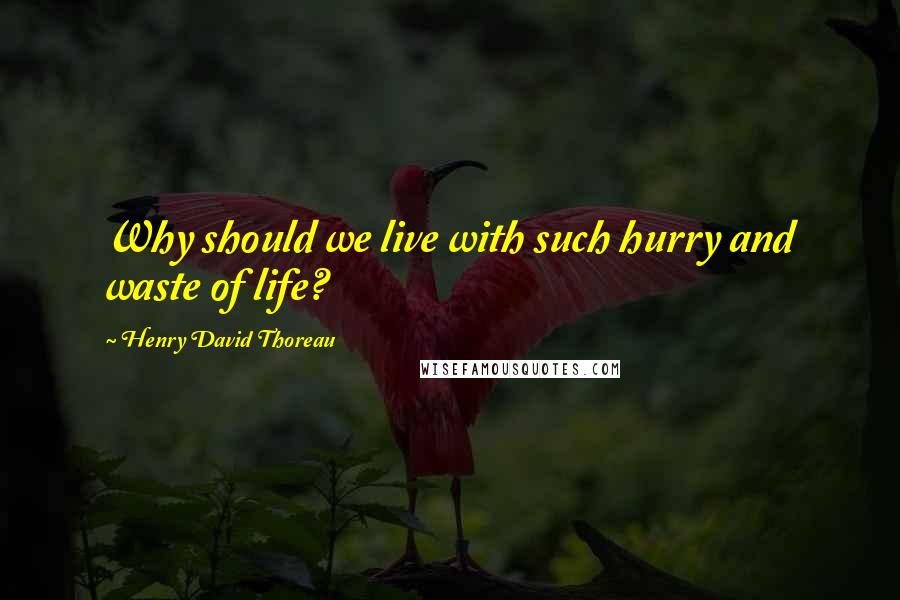 Henry David Thoreau Quotes: Why should we live with such hurry and waste of life?