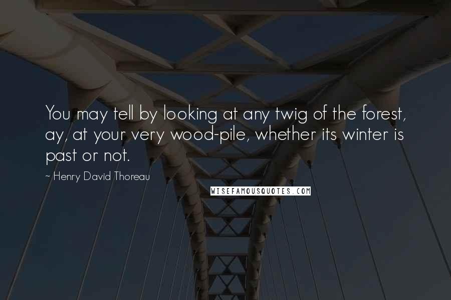 Henry David Thoreau Quotes: You may tell by looking at any twig of the forest, ay, at your very wood-pile, whether its winter is past or not.