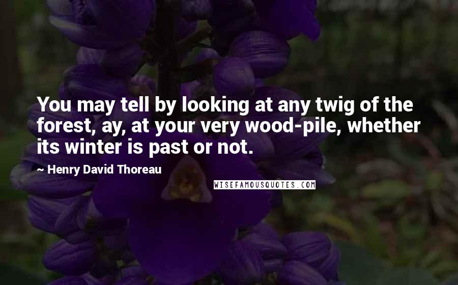 Henry David Thoreau Quotes: You may tell by looking at any twig of the forest, ay, at your very wood-pile, whether its winter is past or not.