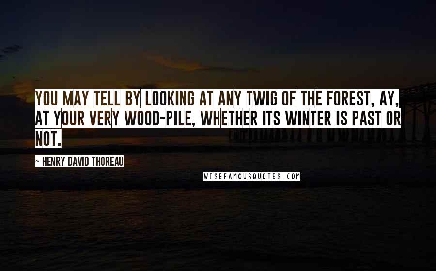 Henry David Thoreau Quotes: You may tell by looking at any twig of the forest, ay, at your very wood-pile, whether its winter is past or not.