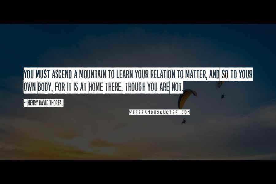 Henry David Thoreau Quotes: You must ascend a mountain to learn your relation to matter, and so to your own body, for it is at home there, though you are not.