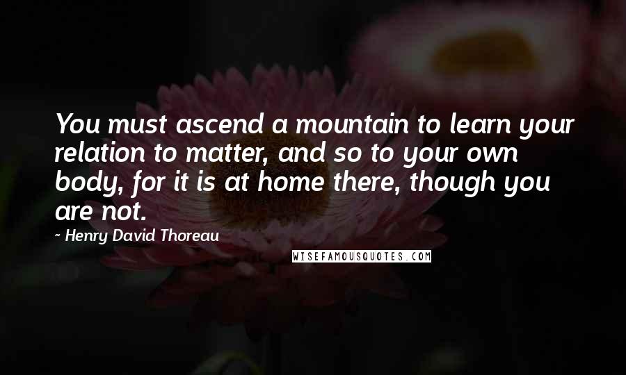 Henry David Thoreau Quotes: You must ascend a mountain to learn your relation to matter, and so to your own body, for it is at home there, though you are not.