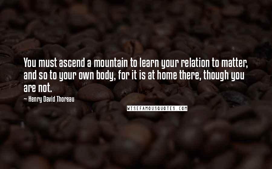 Henry David Thoreau Quotes: You must ascend a mountain to learn your relation to matter, and so to your own body, for it is at home there, though you are not.