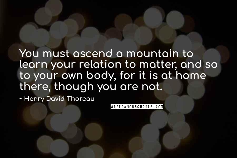 Henry David Thoreau Quotes: You must ascend a mountain to learn your relation to matter, and so to your own body, for it is at home there, though you are not.